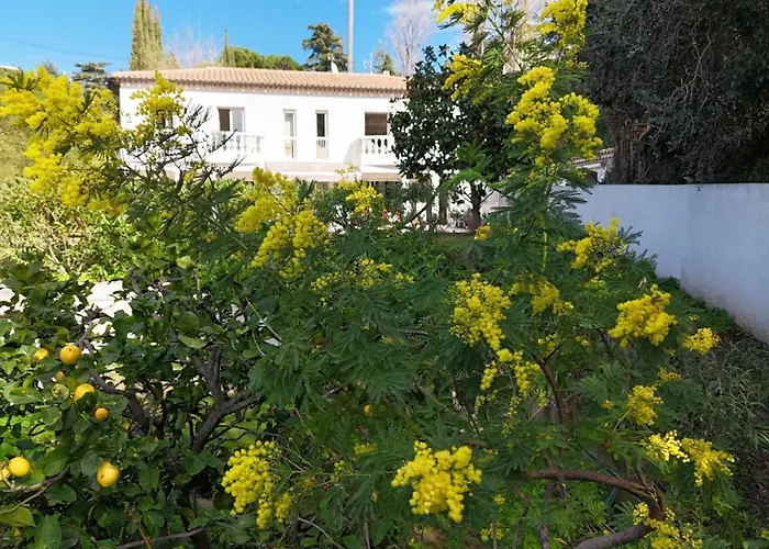 Casa Boheme, Elegance Mediterraneenne, فيلة