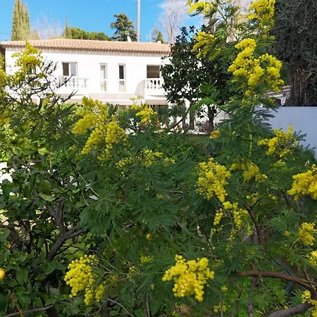 Casa Boheme, Elegance Mediterraneenne, فيلة